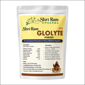 Glolyte Powder — The Most Desired Electrolytes for Stress & Metabolic Regulation
