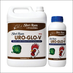 Uro-Glo-V Liquid — Maintains Healthy Functional Renal Mass and Gout in Birds